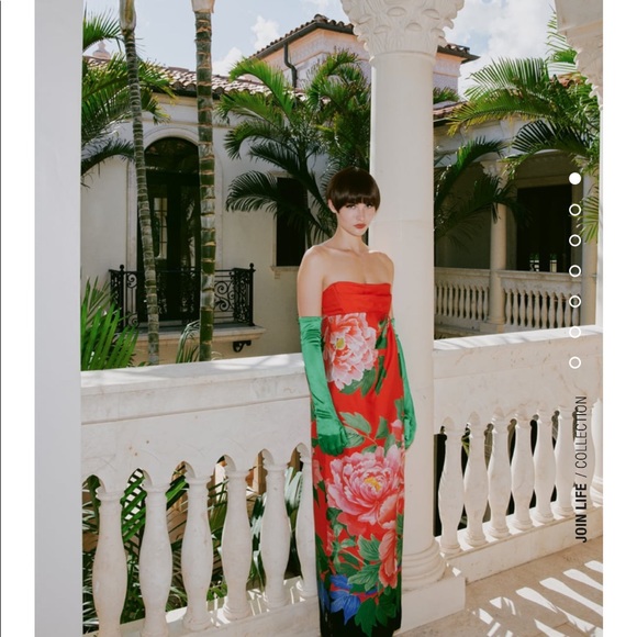 Floral Zara strapless maxi dress host pick 🥳❤️🥳😆 - Picture 1 of 11